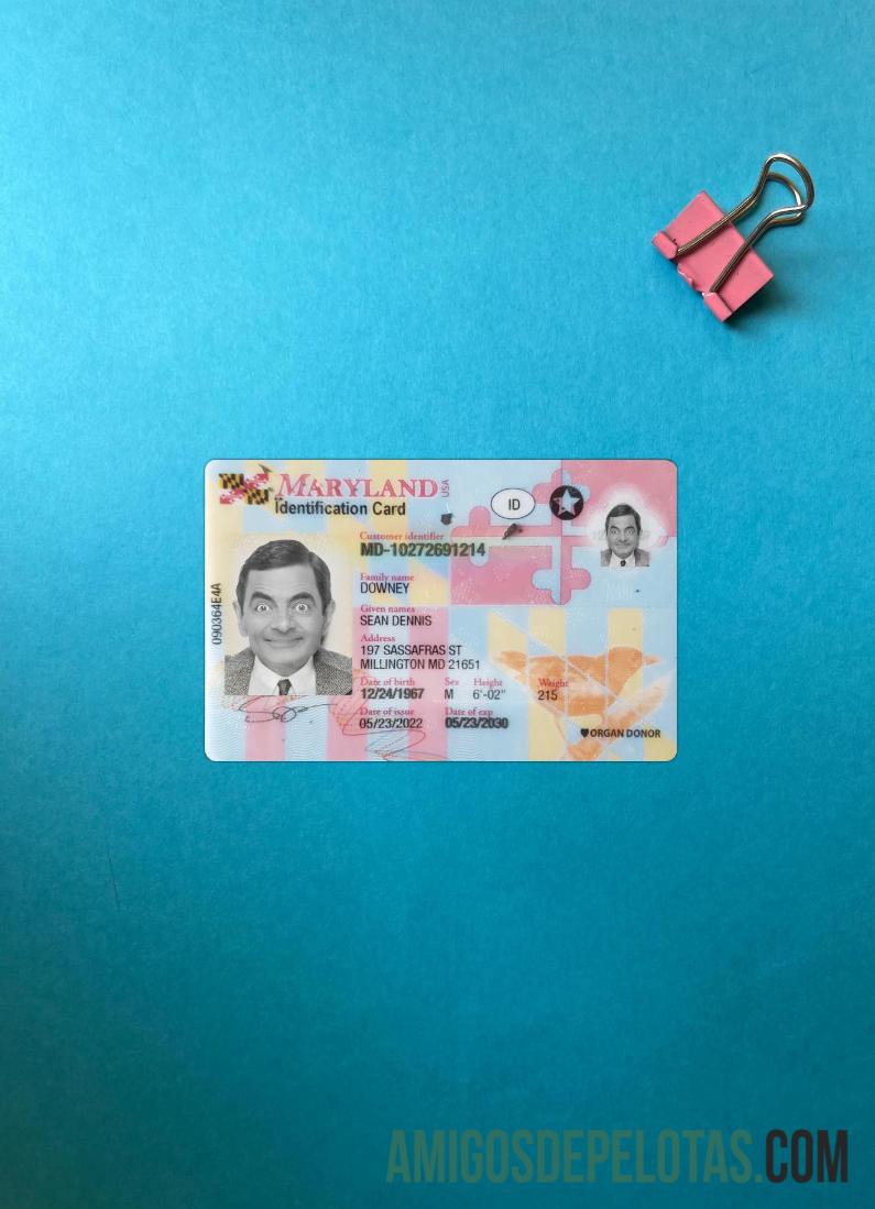 USA Maryland ID Card olhar de foto frente amostra